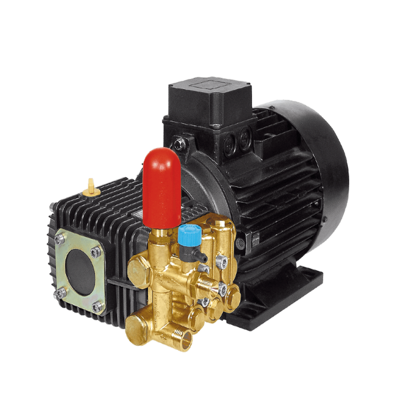 bertolini_plunger_pump_electric_transparent